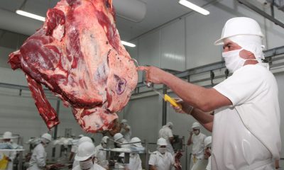 Inspección de carne para el mercado exterior. Foto: Gentileza