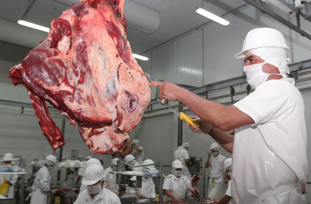 Inspección de carne para el mercado exterior. Foto: Gentileza