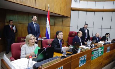 Sesión ordinaria del Senado. Foto: Gentileza.