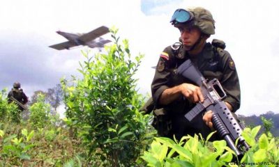 Narcocultivo en Colombia. Foto: DW