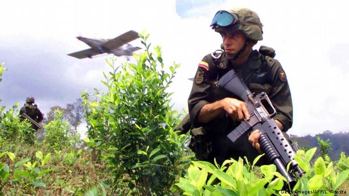 Narcocultivo en Colombia. Foto: DW