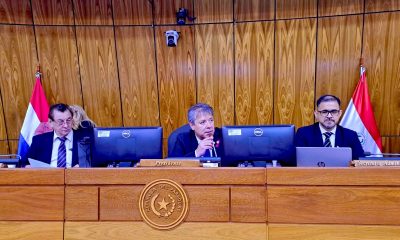 Sesión de diputados. Foto: Gentileza