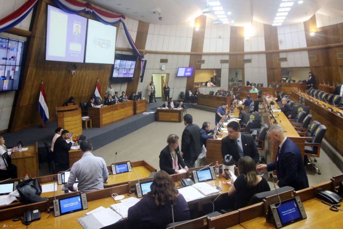 Sesión extra de la Cámara de Diputados. Foto: Gentileza.