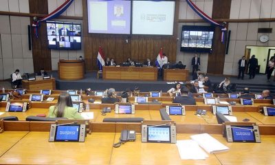 Cámara de Diputados. Foto: Gentileza.