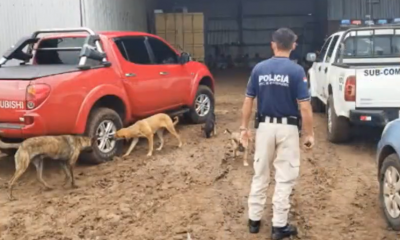 Las autoridades investigan el hecho. Foto: captura