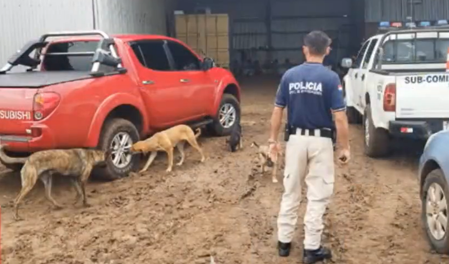 Las autoridades investigan el hecho. Foto: captura