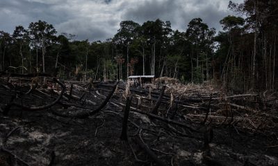 Un área deforestada vista desde una carretera amazónica en Careiro Castanho (Brasil), en 2021. Foto: El País