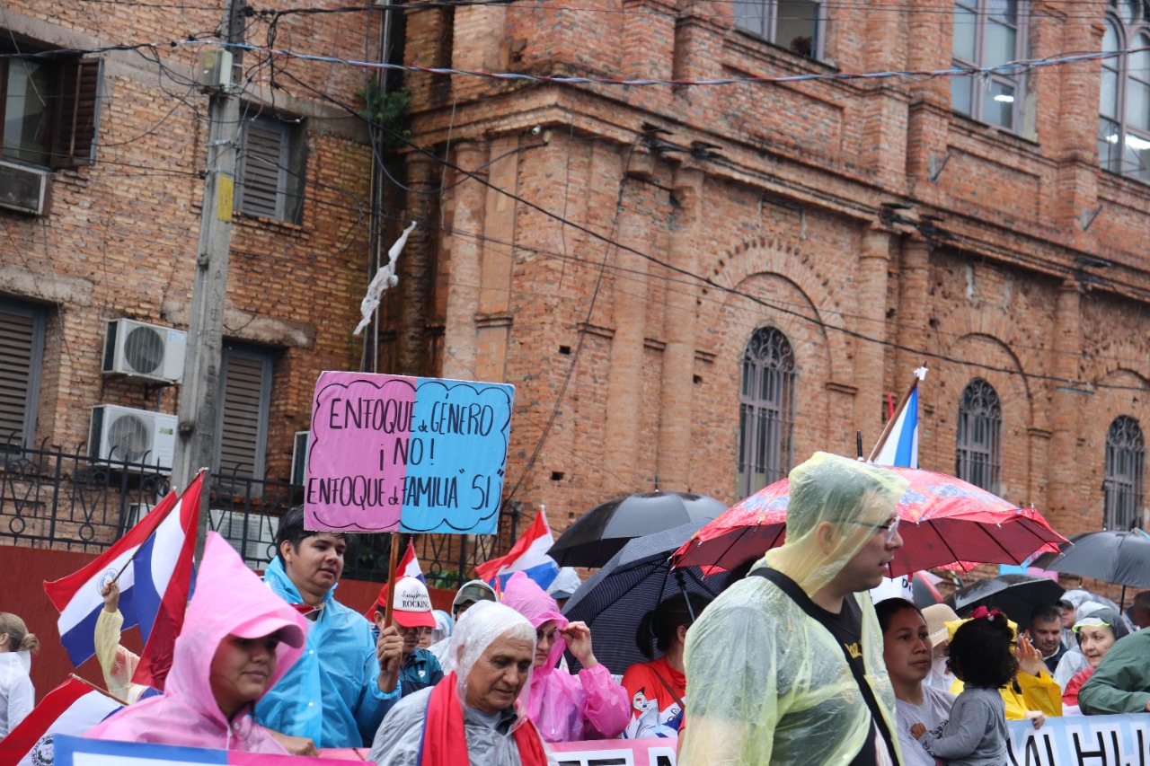 Los grupos provida y profamilia se convocaron para protestar contra el PNTE. Foto: Gentileza.