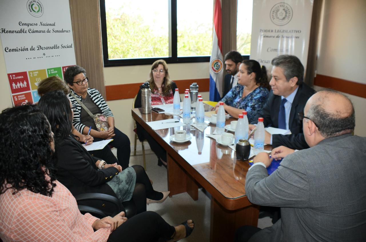 Mesa de trabajo en la Cámara de Senadores. Foto: Gentileza