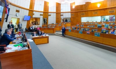 Sesión extraodinaria de la Cámara de Diputados. Foto: Gentileza