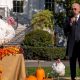 Chip y Chocolate fueron los dos pavos "perdonados" por el mandatario estadounidense Joe Biden, como parte de la tradición del Día de Gracias. Foto: DW