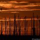 El sol se eleva a través de los mástiles de los barcos sobre la bahía de Port Philip en Melbourne, cuyos residentes han experimentaron en marzo de 2016 la noche más calurosa de la ciudad. Foto: DW.