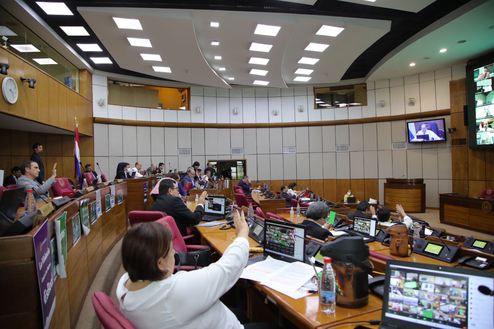 Cámara de Senadores. Foto: Gentileza.