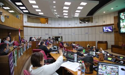 Cámara de Senadores. Foto: Gentileza.