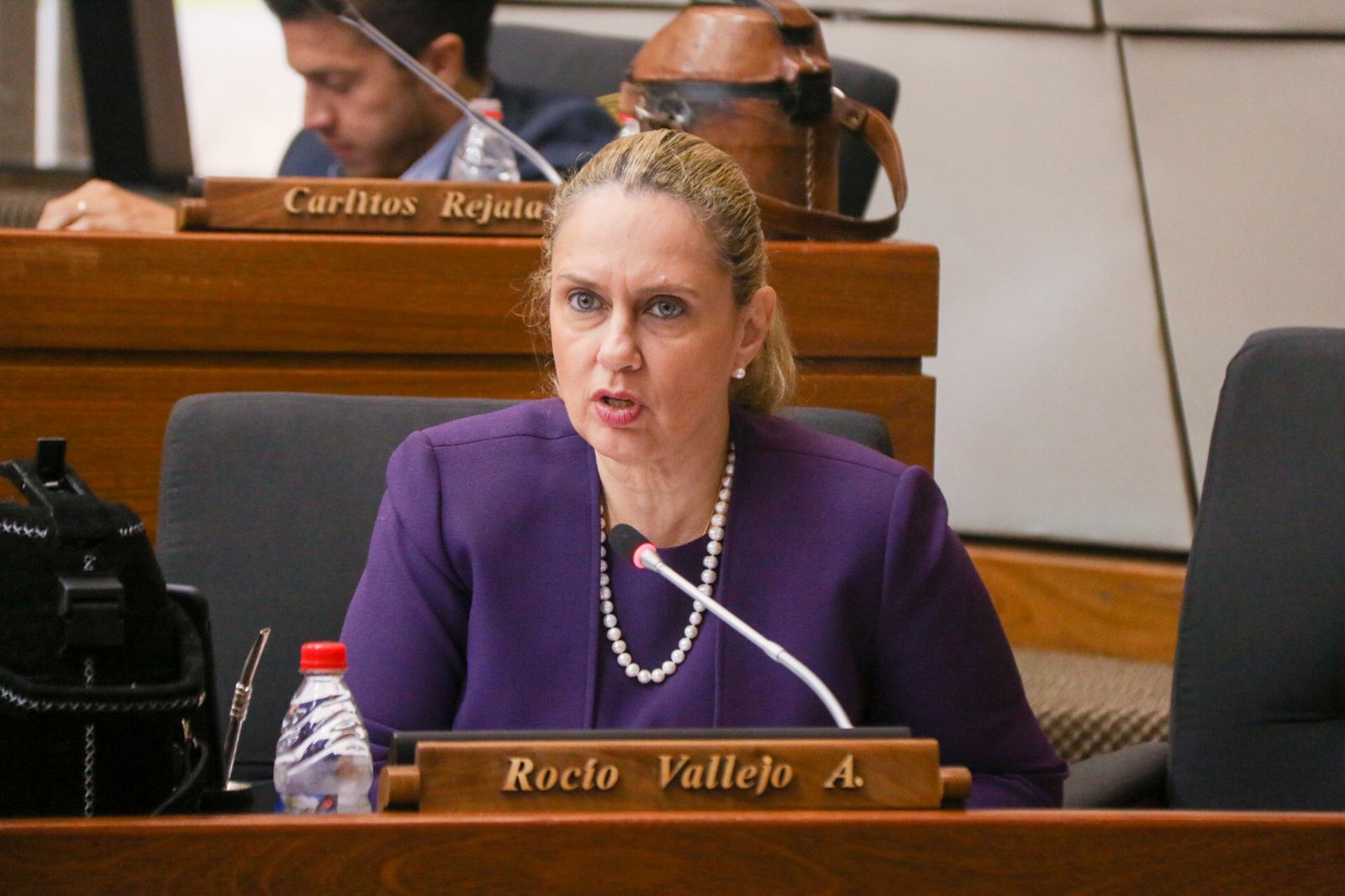 Rocío Vallejo, diputada de Patria Querida. Foto: Gentileza