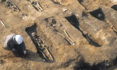 En el análisis genético se utilizaron restos humanos de los pozos de peste en Londres. Foto: BBC Mundo.