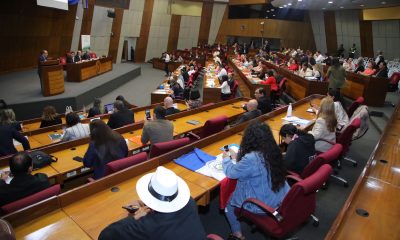 Cámara de Senadores. Foto: Archivo.