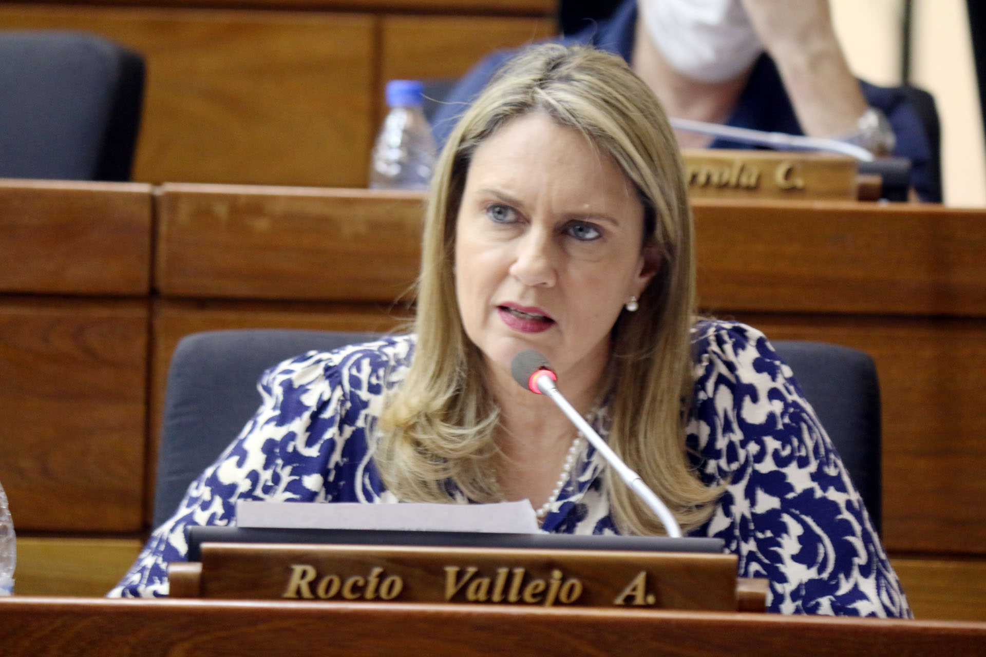 Rocio Vallejo, diputada de Patria Querida. Foto: Diputados.