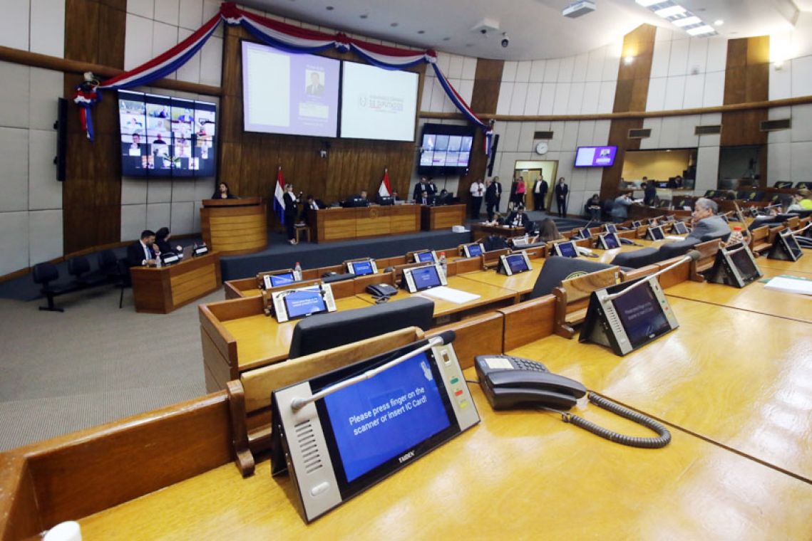 Sesión de la Cámara de Diputados. Foto: Gentileza.