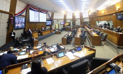 Sesión extra de la Cámara de Diputados. Foto: Diputados