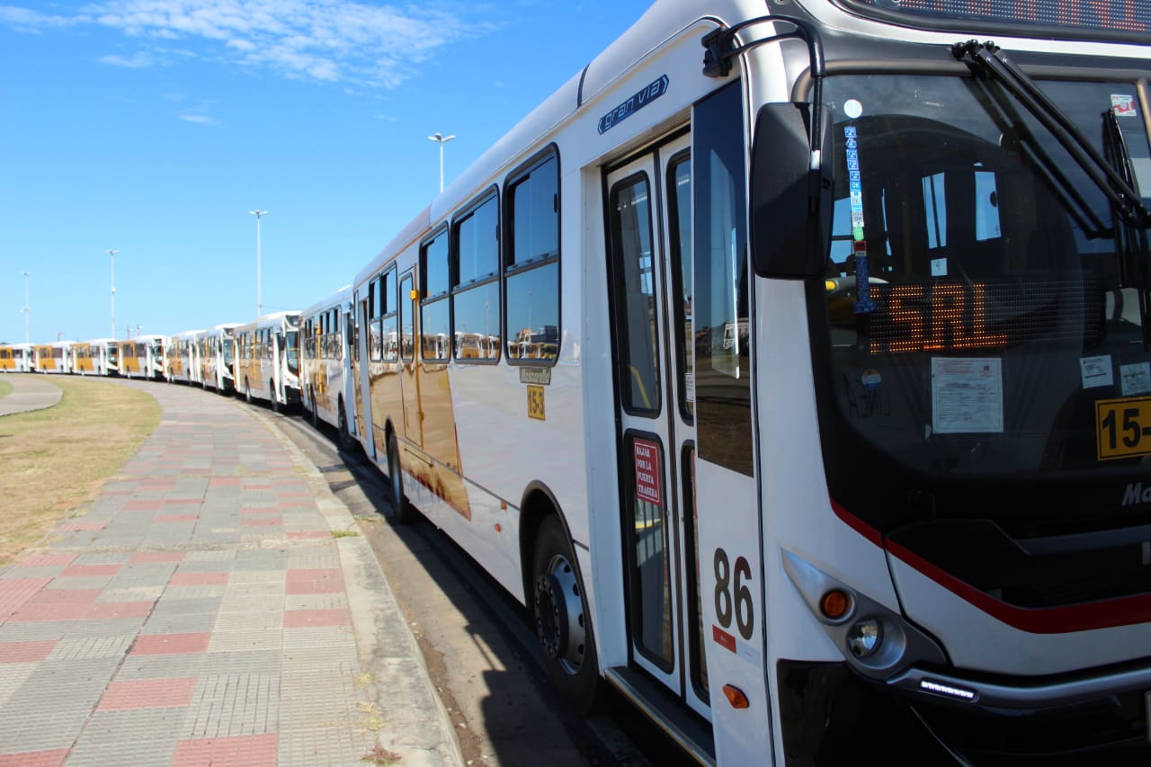 Sistema de Tranporte Público del Área Metropolitana. Foto: VMT.