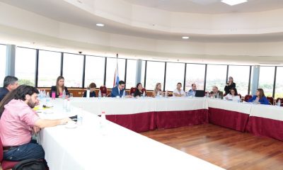 Comisión de la Niñez, Adolescencia y Juventud, que preside el senador Lucas Aquino. Foto: Gentileza.