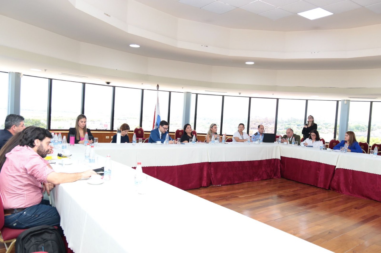 Comisión de la Niñez, Adolescencia y Juventud, que preside el senador Lucas Aquino. Foto: Gentileza.