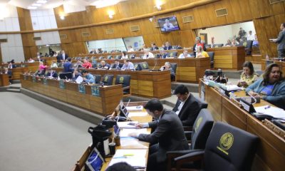 Sesión extraordinaria de la Cámara de Diputados. Foto: Gentileza.