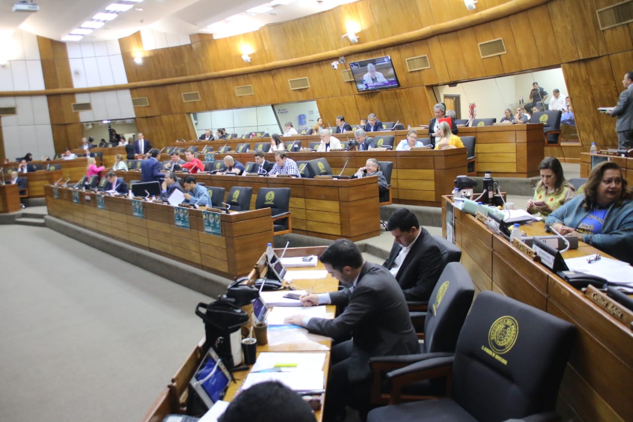 Sesión extraordinaria de la Cámara de Diputados. Foto: Gentileza.