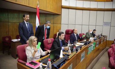 Sesión de la Cámara de Senadores. Foto: Gentileza.