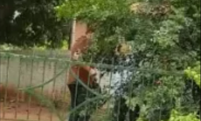 Filmaron a un hombre que intentaba comprar votos. Foto: Captura de vídeo