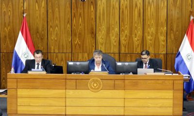 Sesión de la Cámara Baja presidida por Carlos María López. Foto: Gentileza.