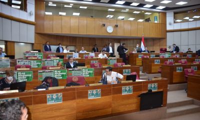 Sesión de la Cámara de Senadores. Foto: Archivo