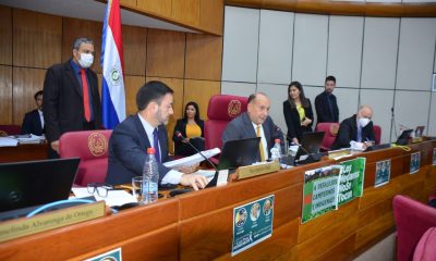 Sesión de la Cámara de Senadores. Foto: Gentileza.