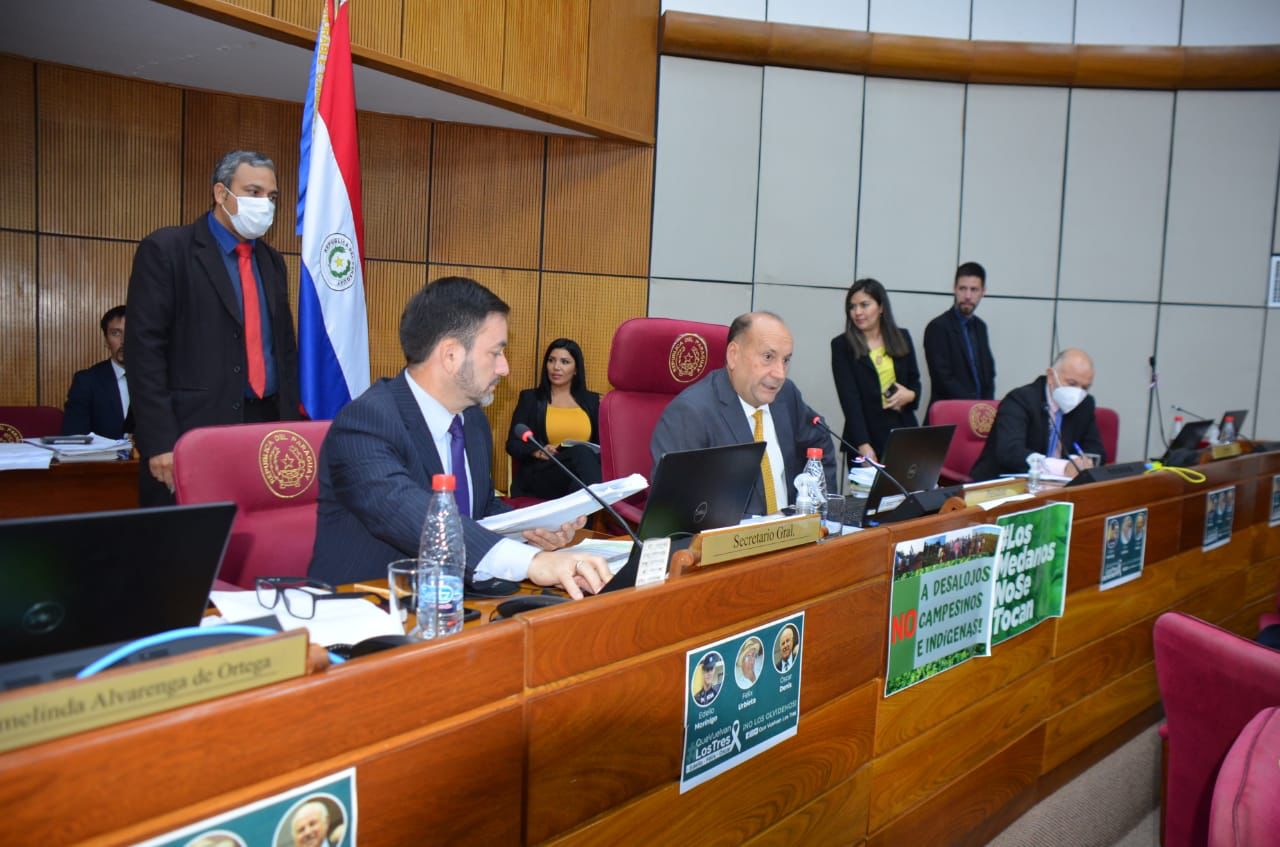 Sesión de la Cámara de Senadores. Foto: Gentileza.