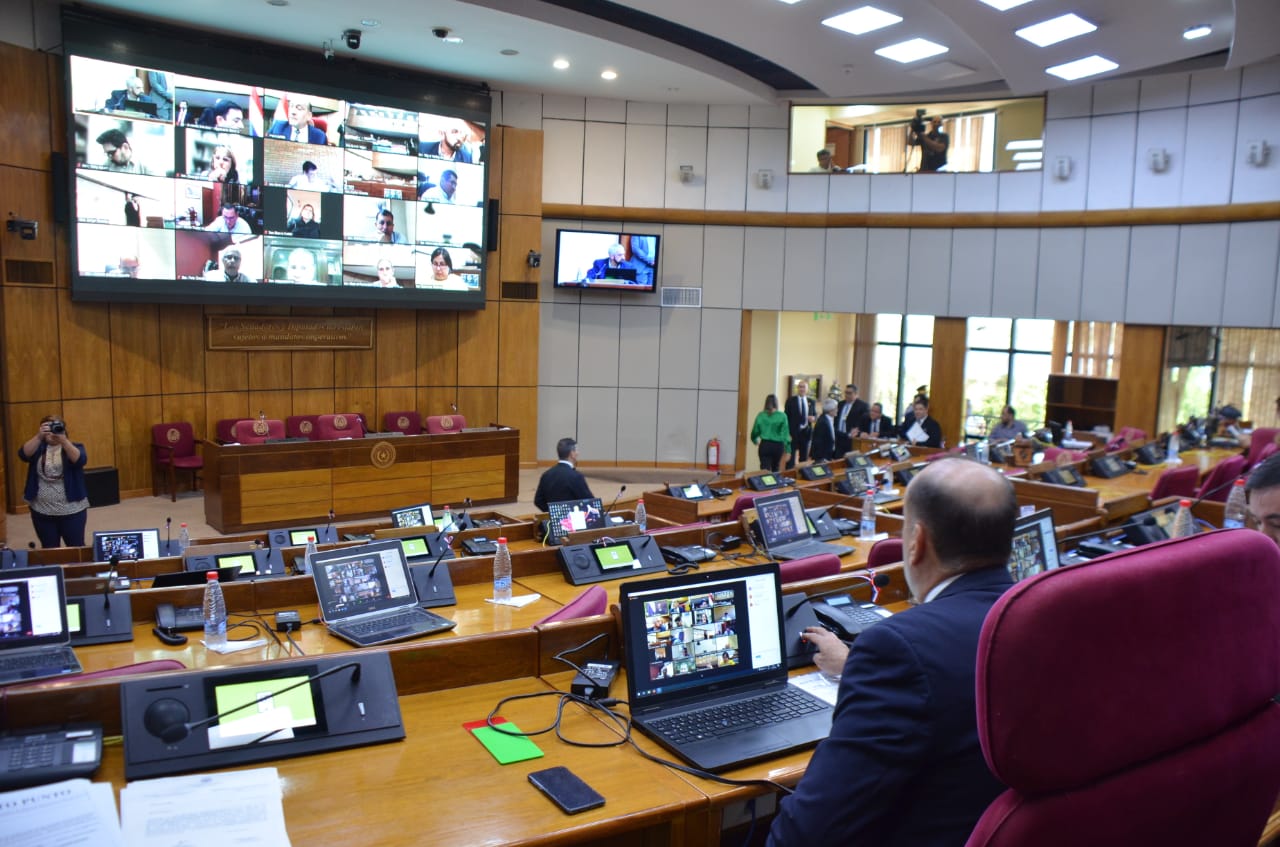 Sesión extra de la Cámara de Senadores. Foto: Gentileza