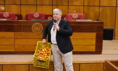 Senador Daniel Rojas con una caja de tomates producto del contrabando. Foto: Gentileza