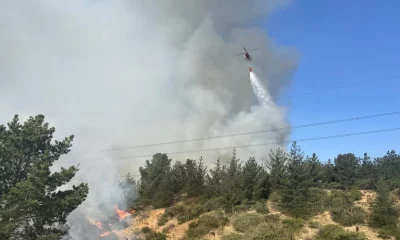 Operaciones aéreas en el sector del Jardín Botánico, en Viña del Mar. Foto: Infobae