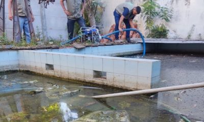 En lamentables condiciones estaba la vivienda intervenida. Foto: Municipalidad de Asunción