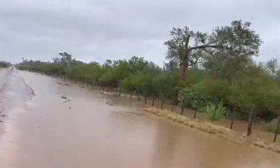 Así está hoy la zona de Teniente Picco, departamento de Boquerón. Foto: Captura