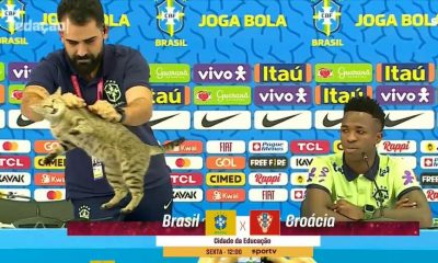El tema del gato en la conferencia de Brasil llevó a que la CBF fuera demandada por USD 200 mil. Foto: Captiura de video.