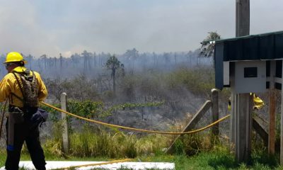 Bomberos trabajan arduamente para controlar el fuego. @PyBomberos