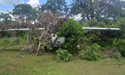 La aeronave CESSNA 182, robada en Caaguazú y ubicada en territorio boliviano. Foto: Policía Nacional