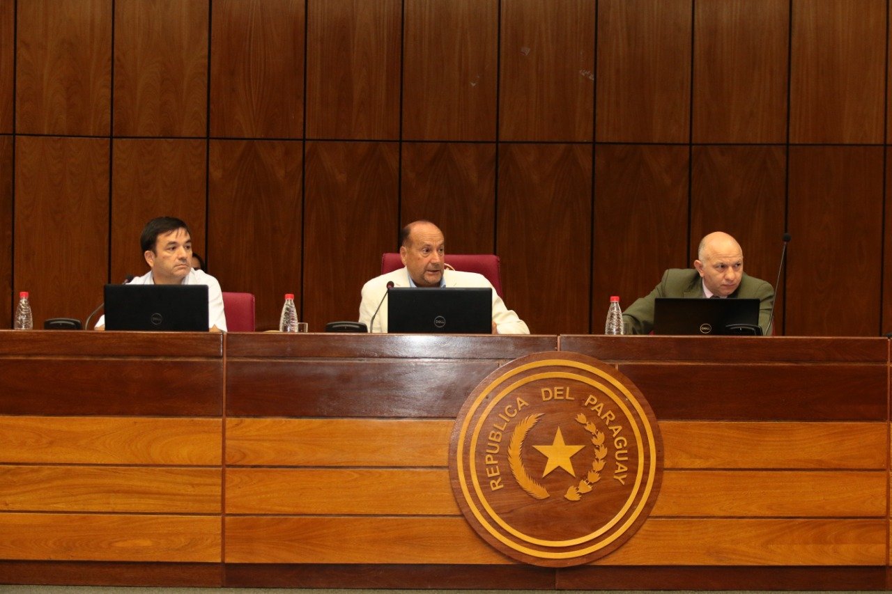 Cámara de Senadores. Foto: @SenadoresPy