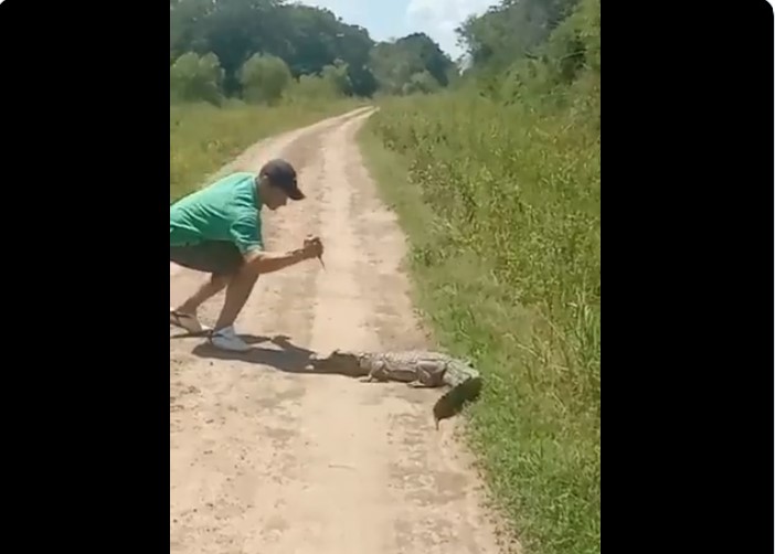 Momento en que la persona hiere con cuchillo al animal. (Captura video)