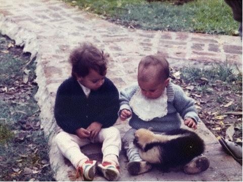 Osito melero con dos niñas. Foto: Alberto Yanosky