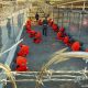 Base militar y prisión de Estados Unidos "Guantánamo" en Cuba. Imagen de archivo- DW