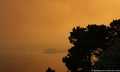 Un espeso humo envuelve el bosque y las zonas costeras cerca de los intensos incendios forestales que avanzan en el centro y sur de Chile. Foto: DW