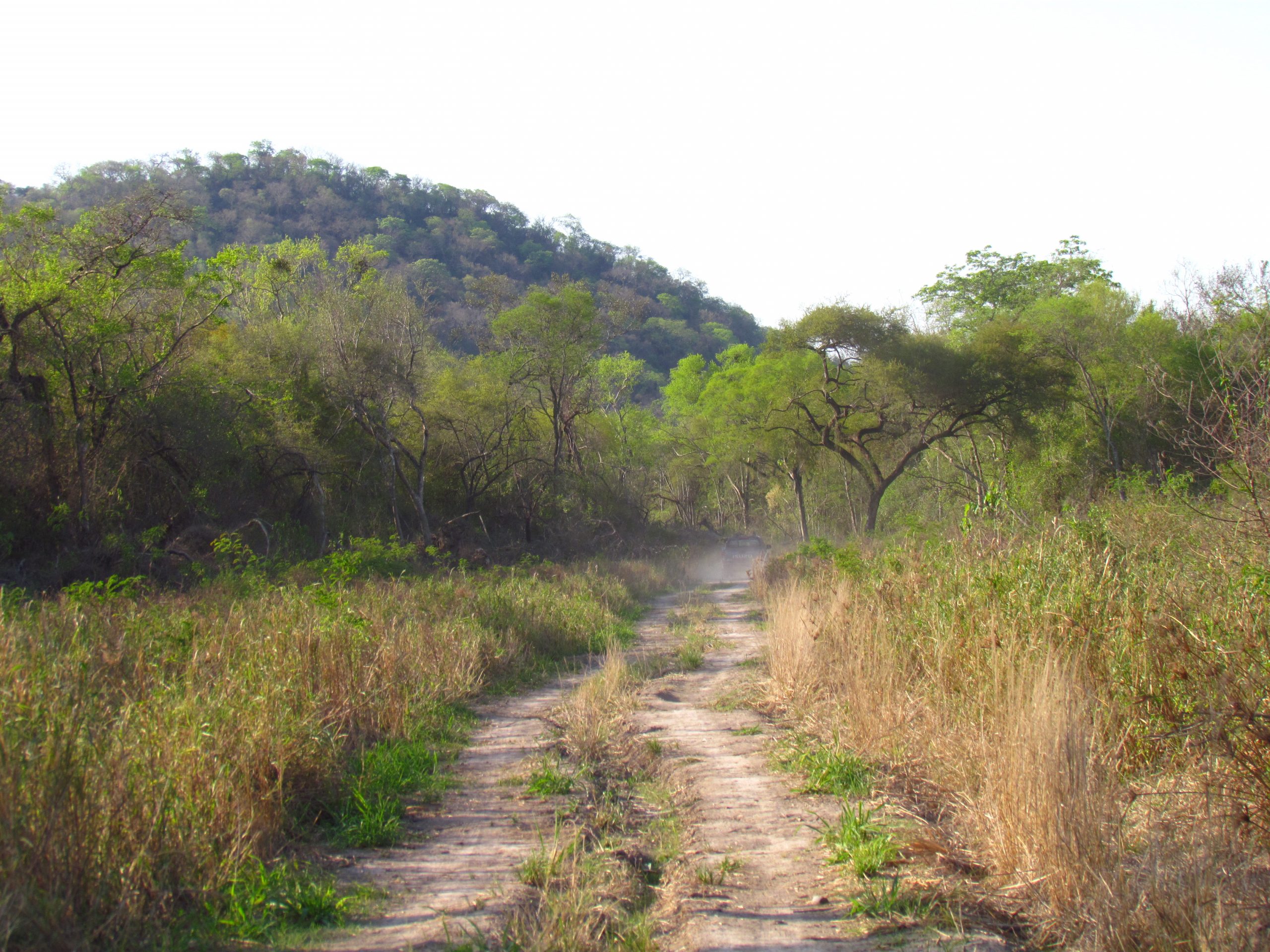 Cerro Cucaani. Foto de Rebeca Irala