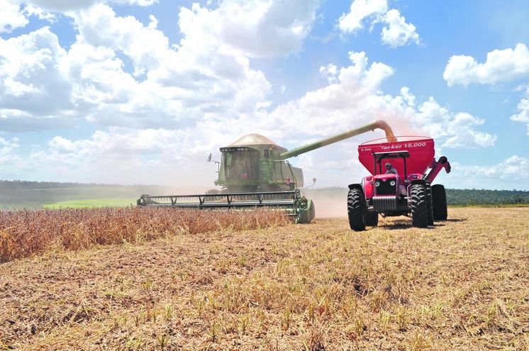 Cosecha agrícola. Foto: Gentileza